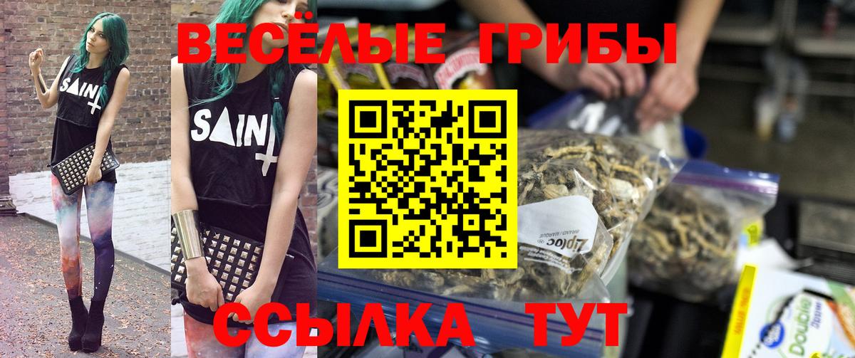 Ессентуки  как найти закладки  Вход с VPN  Псилоцибиновые грибы MAGIC MUSHROOMS 