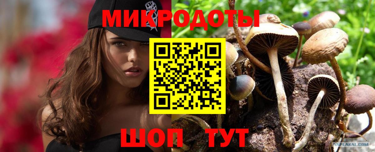 Галлюциногенные грибы Cubensis Ессентуки